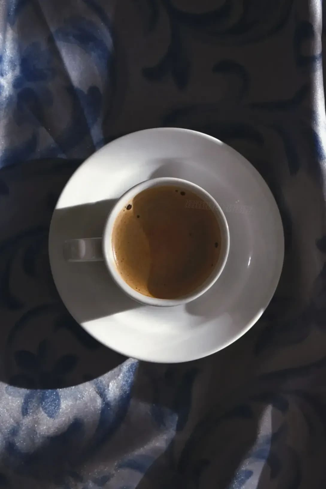 トリコロールコーヒー 11